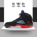 Aj5 black red purple grape