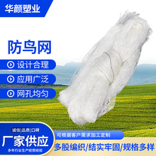 跨境货源白色尼龙复丝拦鸟网农业种植挡鸟防护网养殖防鸟池塘网