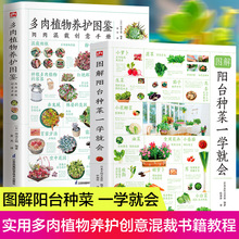 【全套2冊】陽台種菜+多肉植物養護圖鑒圖解版 花藝書籍養花書籍