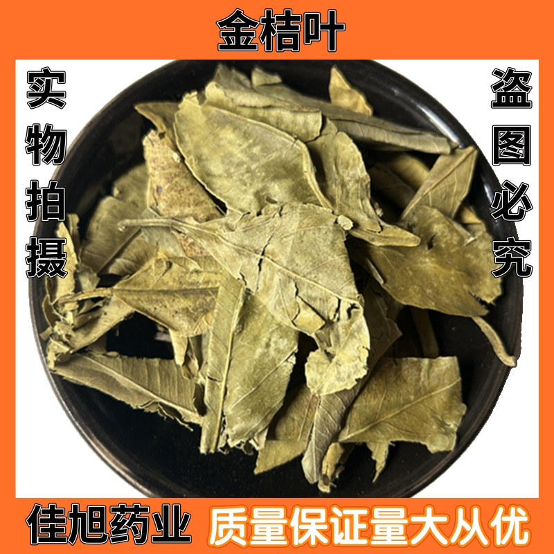 批发 金橘叶 桔叶 橘叶 桔子叶 金桔叶 新货 量大从优