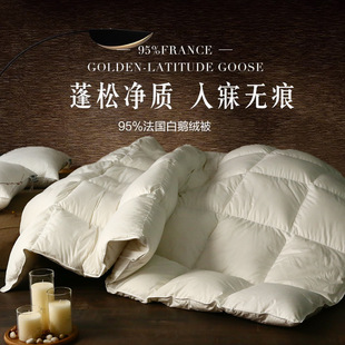 Pure Cotton Quilt, down Quilt, White Goose down Quilt, Spring & Fall Quilt, Floor Heating Quilt Core, Thickeneded Winter Quilt, Hotel Quilt Wholesale E18