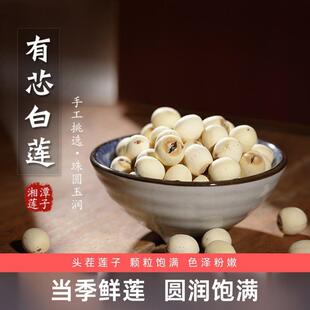 ��Ȼ�o��2025�ꎧ�ĵ�ɏ�Ӹ�؛250g��о��о��ɏ�ٷ���Ş���ؼ���