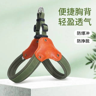 狗狗牵引绳防挣脱Y型狗狗胸背可调节中大型犬遛狗绳宠物狗用品厂