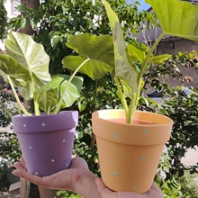 �մ���������t������͸������m�����������貨�c���бP����