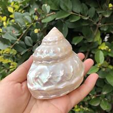 ���]����ؐ���ɹ��������ݰ�ɫ���˱����ղ؃�ͯ�Y���Ĕz�[��