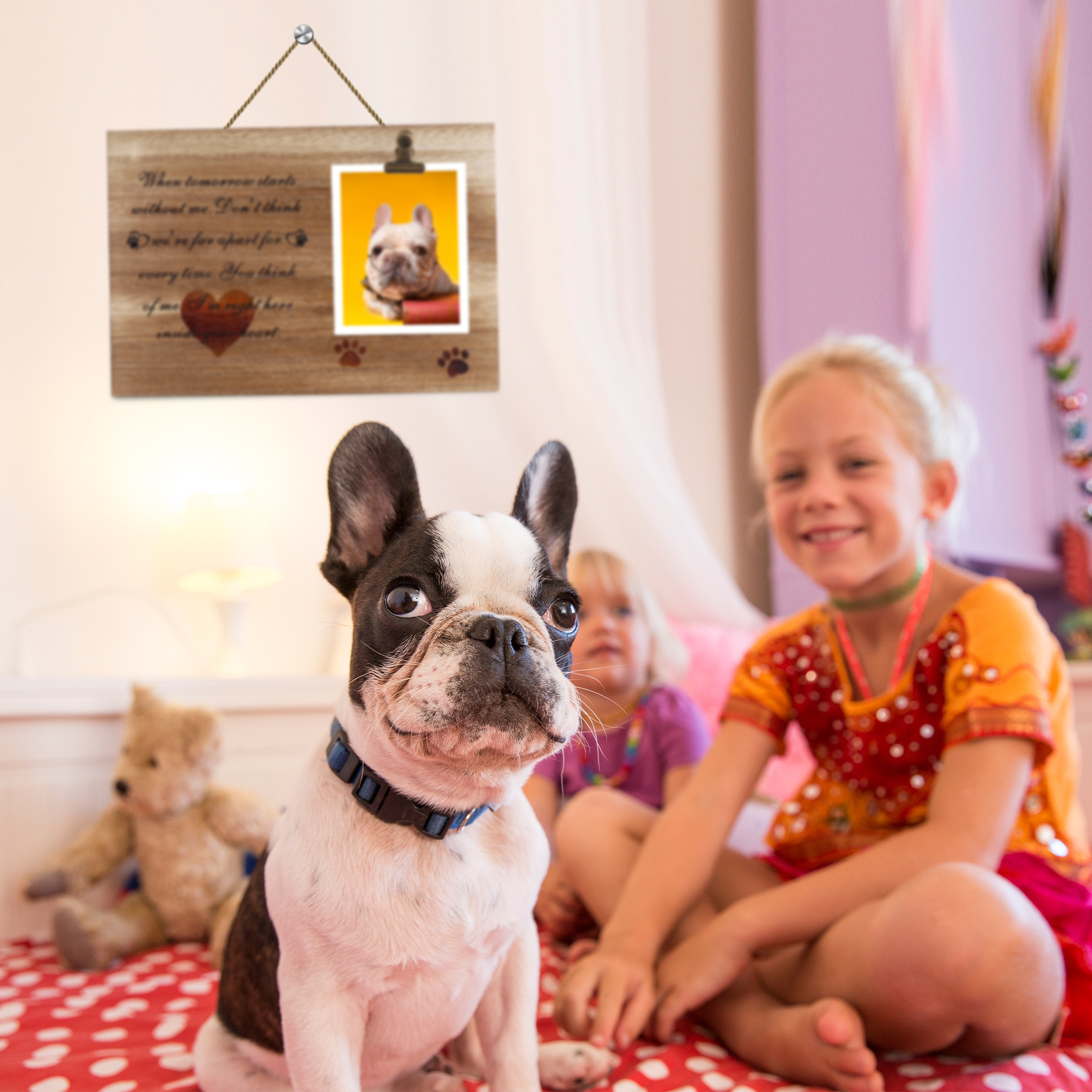 Amazon nuevo marco de fotos conmemorativo de madera decoración perro de madera con clip Marco de Fotos decoración dormitorio invitado