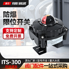 yTλ_P ITS300 yT̖b ׼ˮ