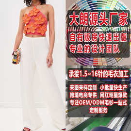 大朗毛衣加工厂女式针织衫打版定制看图欧美绣花挂脖时尚针织背心