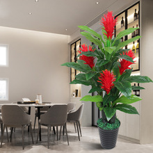 仿真植物盆栽兰花客厅摆件落地假花防真花居家装饰杜鹃室内大牡丹