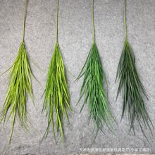 ����Gֲ�¿���}�� ɭϵ��c�廨�b� �͏d�߼��Д[���������l