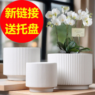 �������l�մɻ��豱�m����Gֲ�ش�̖�lؔ������m������һ�����l