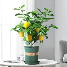 ˮʘԾGֲ㙎ֲ̨҃漢UϘ辰