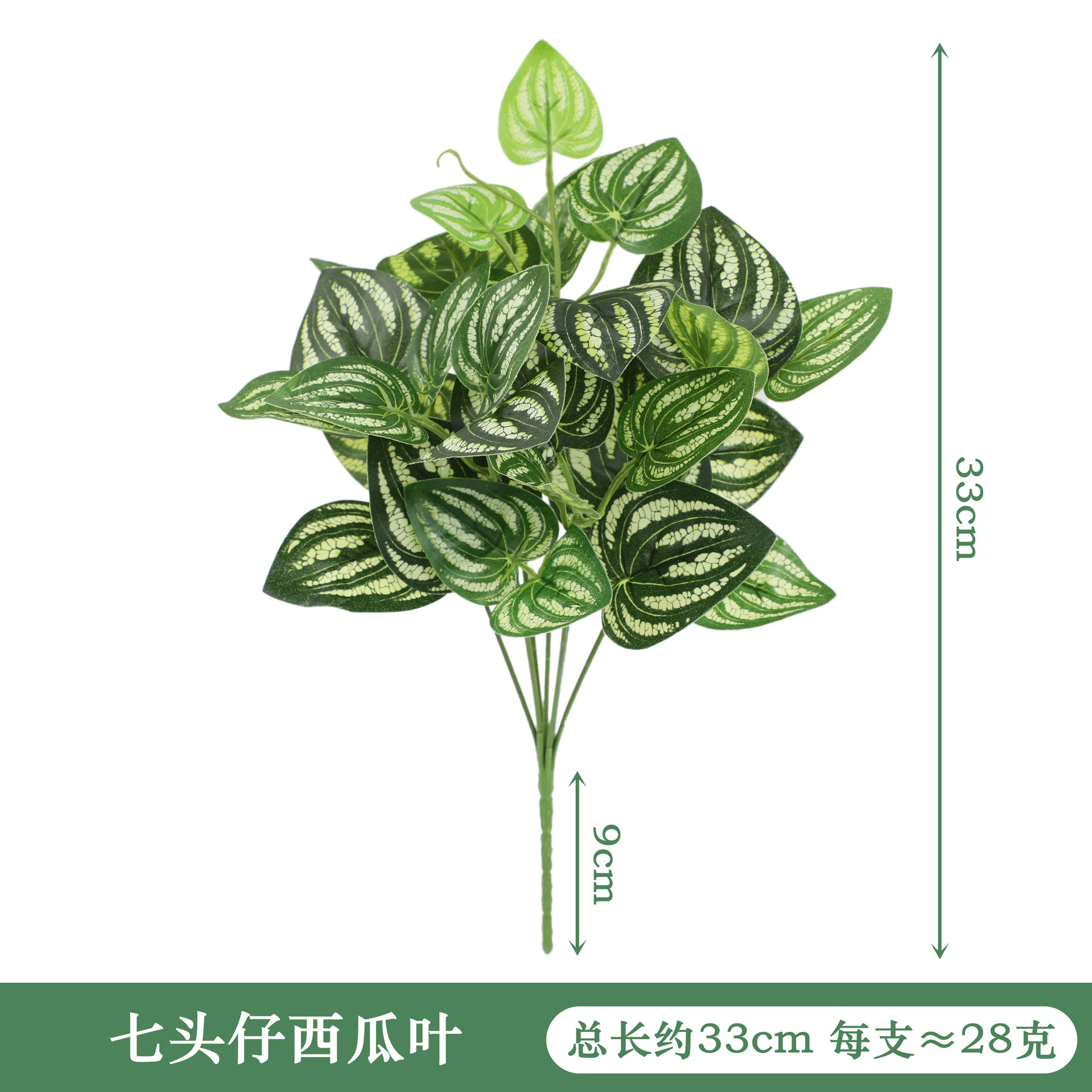 YAL5-170-7 # 일곱 수박 잎
