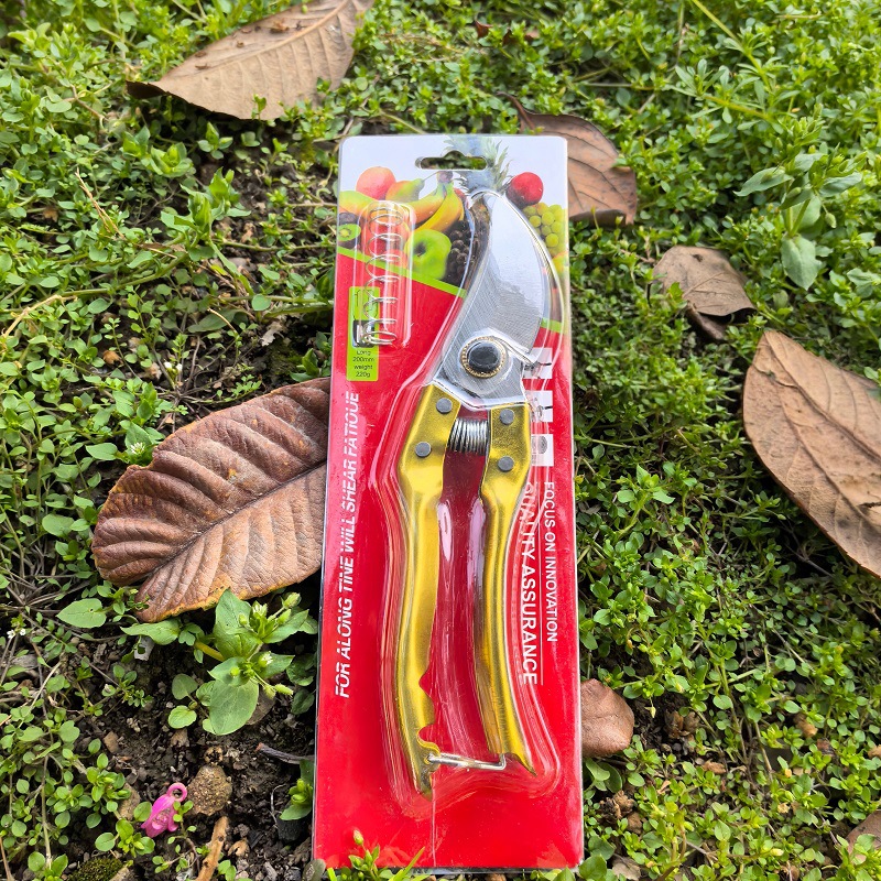 微信图片_20250302144735