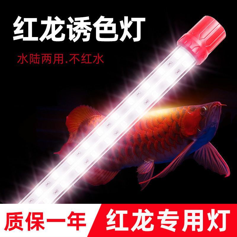 红龙鱼灯金龙鱼灯发色暖光金龙灯潜水鱼缸灯锦鲤灯