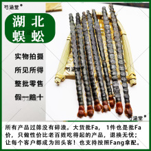 �t�^���9-17�����L��������ϐ�Ӹ����ˮ�θɴ�ُ