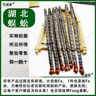 ��ș�ć��a�����t�^���9-17�����L��������ϐ�Ӹ����ˮ�θ�