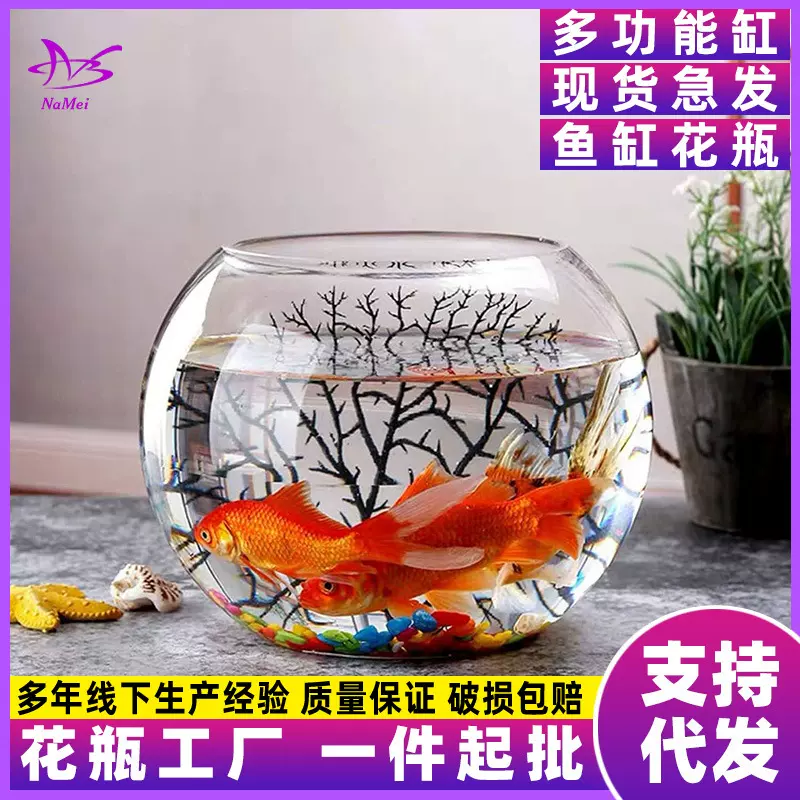 圆形鱼缸透明玻璃花瓶水培植器皿创意生态水养绿萝花盆装饰摆件