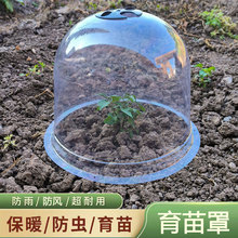 �Ϲ������͸�Ᵽ�o�����Է��L���R�ַNֲ�߲˻�������͸��������