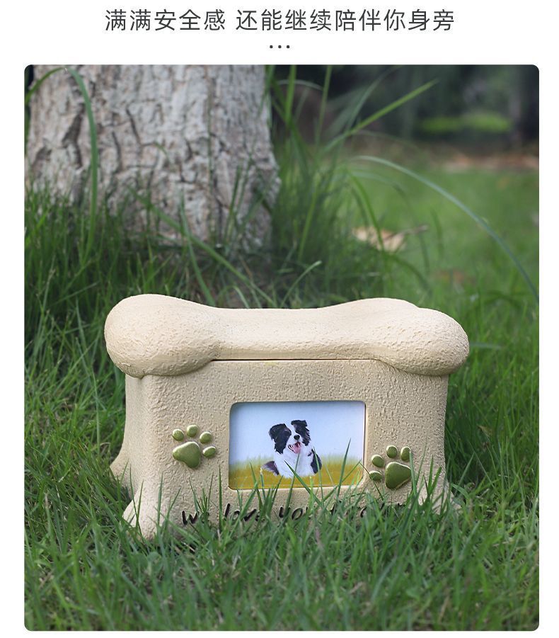 48084214-c349-4f3e-9f3b-6385ce654ffd.jpe