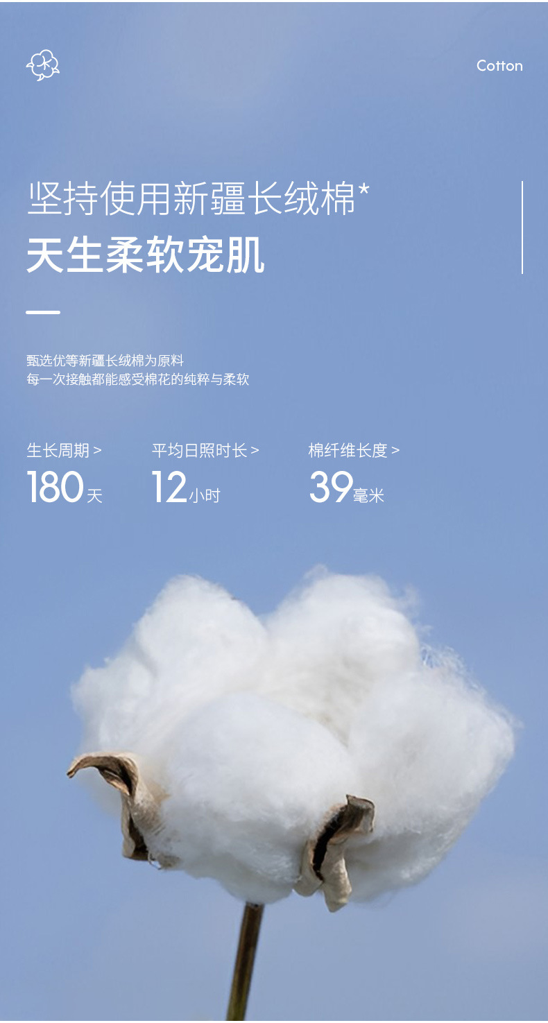 新20300_03.jpg