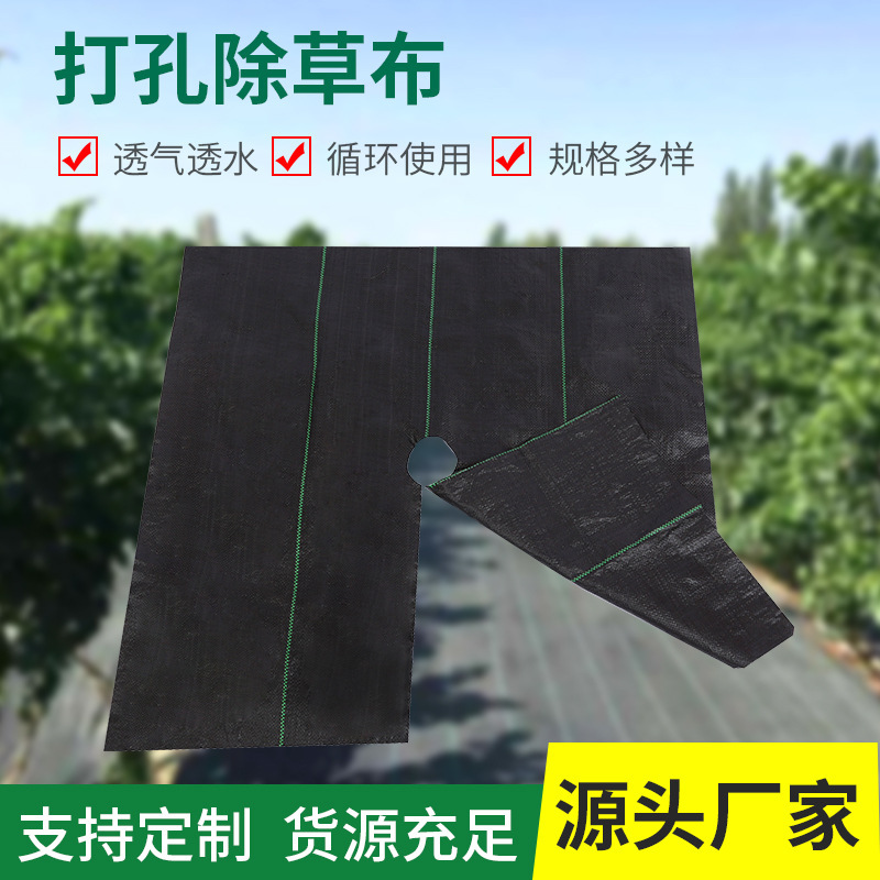防草布农用加厚园艺除草布地布耐用抗老化遮盖草果树园林透气保湿