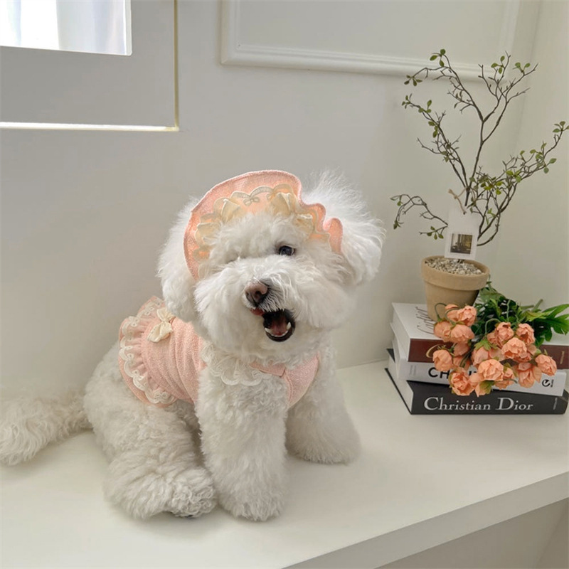 2025年秋冬ペット小中型犬猫服2点セット 小香風+帽子|undefined