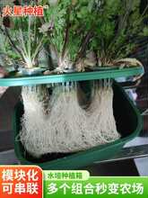 &trade;ˮ��Nֲ��ˮ�������O��ͥ�̨�o������N���߲��O��