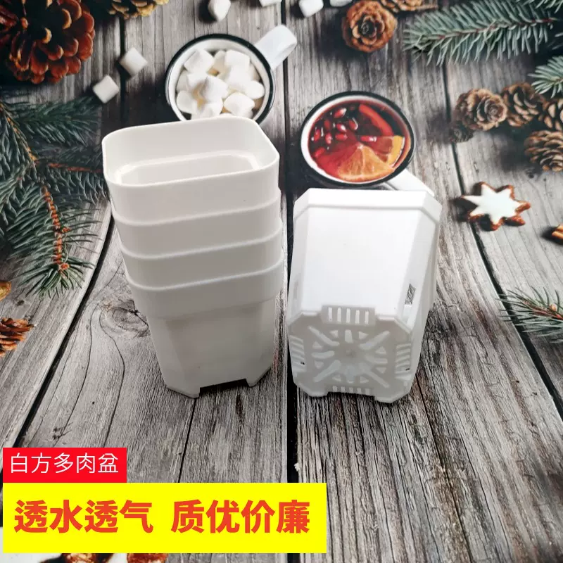 批发透水透气八角盆小白方多肉花盆塑料方形植物叶插育苗盆带托盘