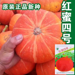 �t����̖�ϹϷN�Ӱ���ζС�ϹϷN��ؐؐ�ϹϷN�Ѹ߮a�߲˷N����