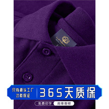 �ļ�������polo�����Ʊ����޷��IT����I�F�w�Ļ����̎����乤�b