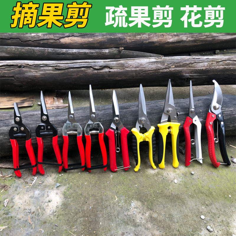 葡萄修枝剪 园艺采果芽剪刀柑橘子修花摘果稀果 剪水果蔬果园艺