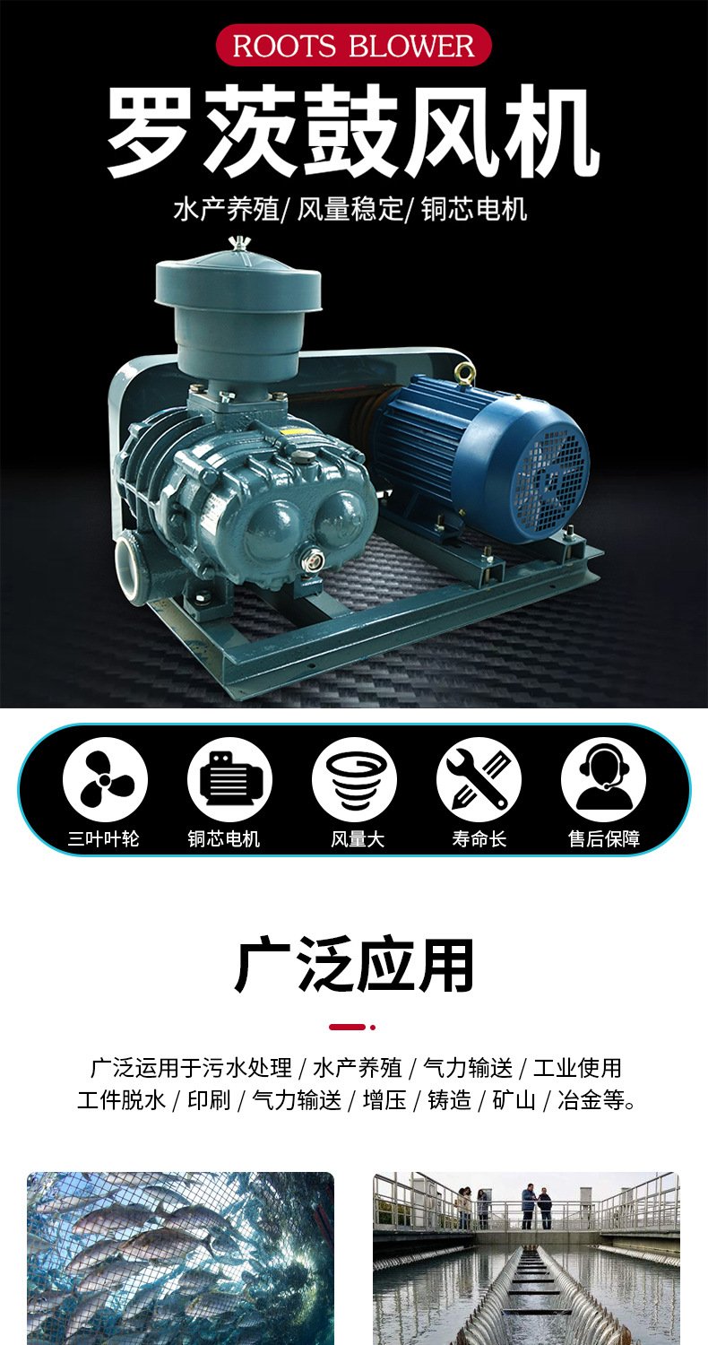 罗茨鼓风机_01.jpg