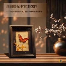 ��G�����P�����x�����˱��[��չʾ���Ů���b쮋���նY��YƷ