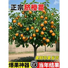 �M��Ě�Ș���������ӹ���޽�ɰ���ٹ���t���ˮ���Y���ָ�����