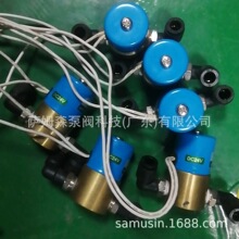 净水器电磁阀 KSD电磁阀饮水机电磁阀 KSD铁氟龙聚四氟乙烯电磁阀