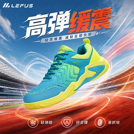 羽毛球鞋;男式运动单鞋;乒乓球鞋