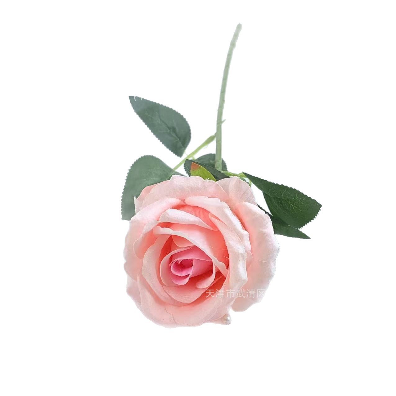 Paño de piel de simulación Acacia rosa flor falsa única flor artificial boda casa auditorio decoración ramo fotografía accesorios transfronterizos