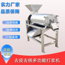 新鲜果酱生产设备 工业立式番石榴去皮打浆机 水果不锈钢打浆机