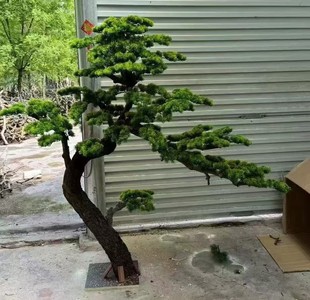 ����ӭ���ɰ��ɘ��҃����b��쾰�ɼ�Gֲ�_�h�ɼ���������ؔ[��