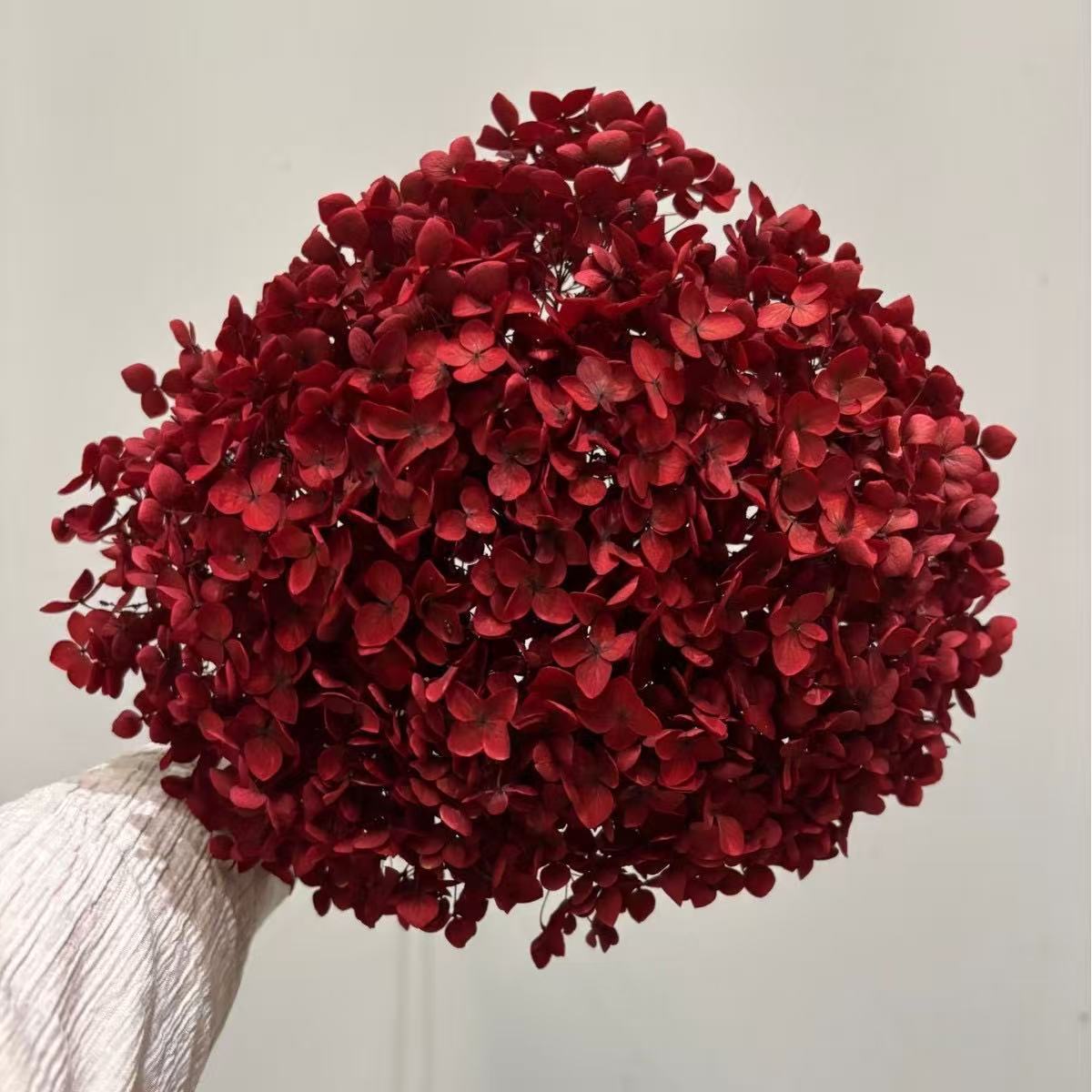 Yunnan Anna Hydrangea Flower Wholesale DIY Flower Preservation Flower Materiales de Regalo de Navidad