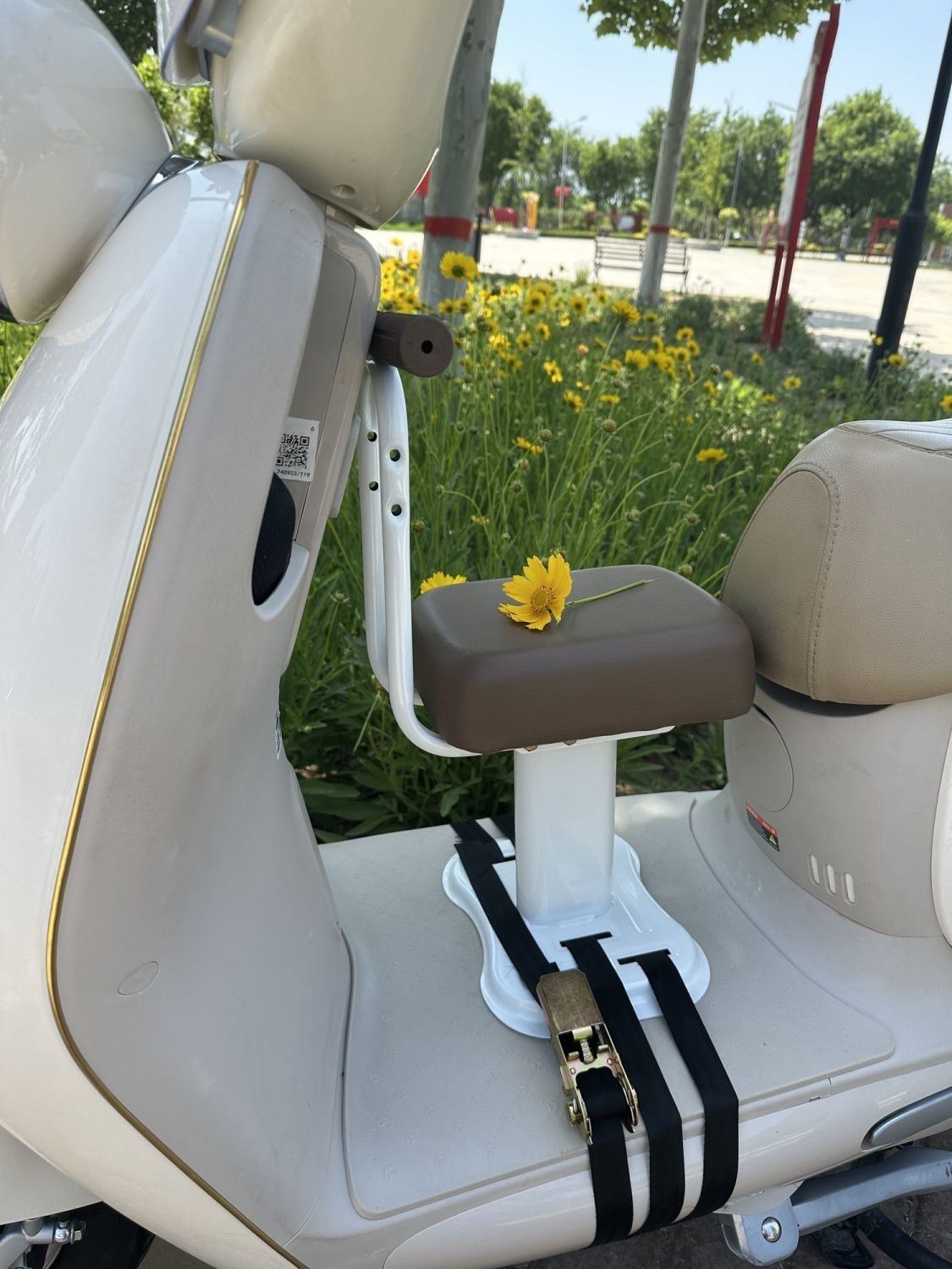 Electric Vehicle Child Seat, Baby Seat, Electric Scooter Child Seat with Armrests, Front-Mounted Child Seat Y90