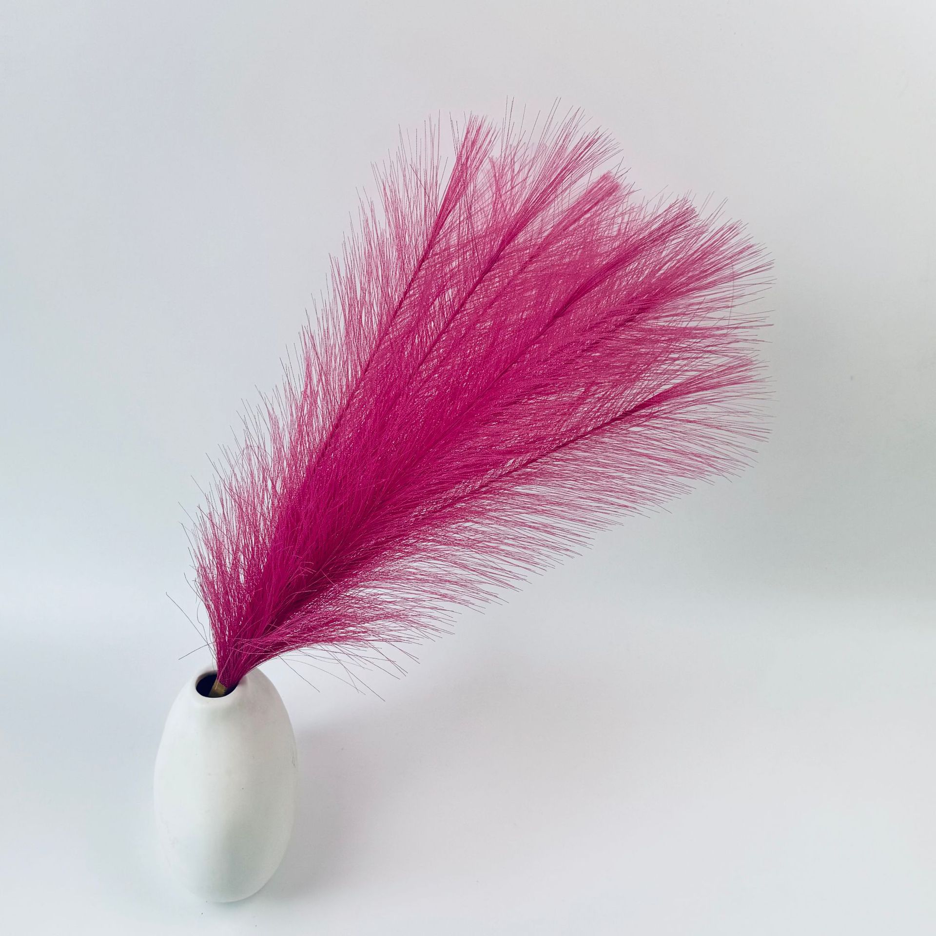 Flores artificiales de caña de agua famosas en Internet, hierba de pampa artificial de estilo nórdico, flores artificiales, flores falsas, plumas de colores, Amazon transfronterizo