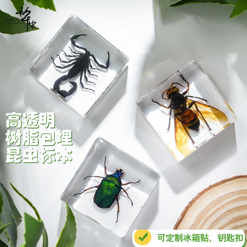 千年虫 Resin dripping insects and animals more than 100 kinds of beetles, spiders, scorpions, children's study ornaments blind box