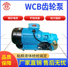 宣一WCB微型齿轮油泵不锈钢防爆WCB-30-50-75-100齿轮油泵厂家