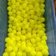 X40 Rotomolded Pickleball 40 Hole Rotomolding Process Pickleball Manufacturer Wholesale