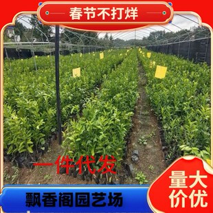 �������lɰ�ǽ��������o��ɰ������ɳ�ǽ��������箔��Y��