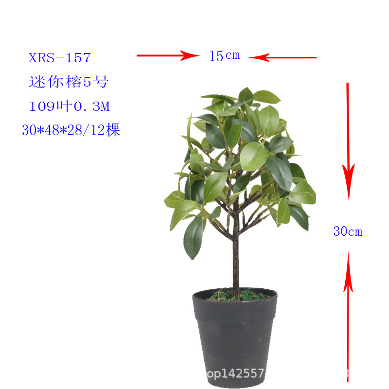XRS-157 迷你榕叶5号盆栽109叶.jpg