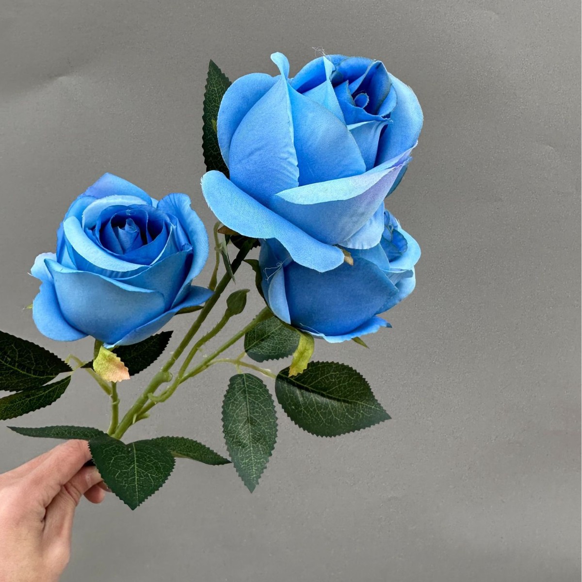 파란색