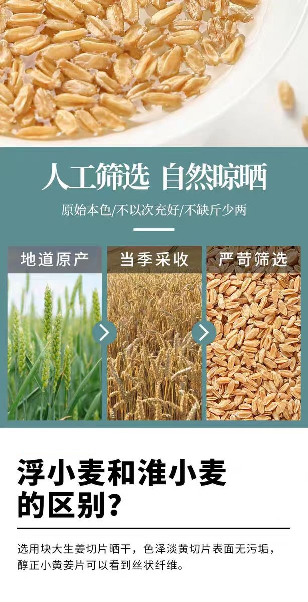 Fu Xiao Mai (Triticum aestivum) — Naturally Sun-Dried Light Wheat for Tea & Soup key features